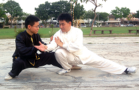 陈式太极拳推手之大捋 Chenshi Taijiquan (Taichi) Push Hand